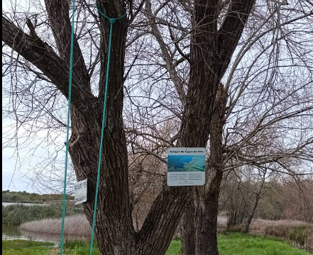 Captura de ecrã 2025-11-04 170449