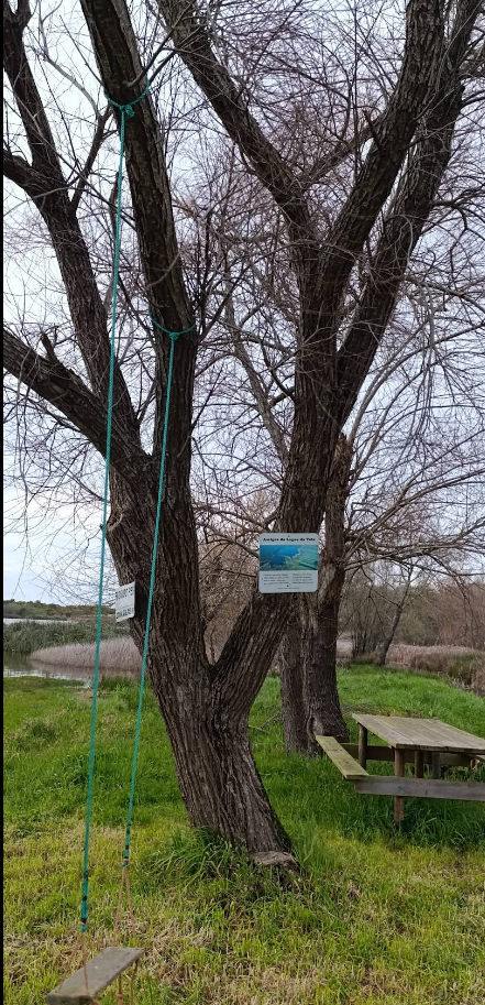 Captura de ecrã 2025-11-04 170449