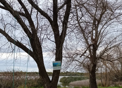 Captura de ecrã 2025-11-04 170457