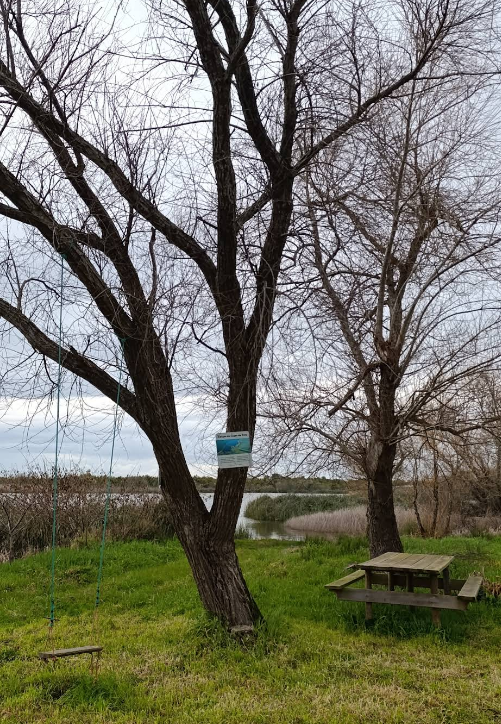 Captura de ecrã 2025-11-04 170457