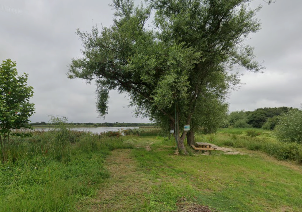 Captura de ecrã 2025-11-04 170506