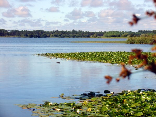 Lagoas do Bom Sucesso